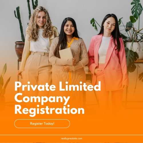 Private Limited Company