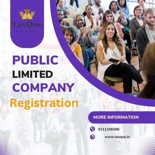 Public Limited Company