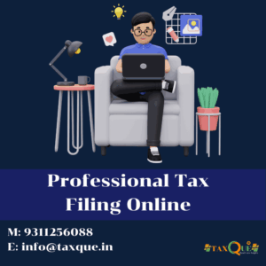 Professional Tax Filing Online